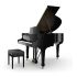 Flügel Steinway & Sons-0001.jpg